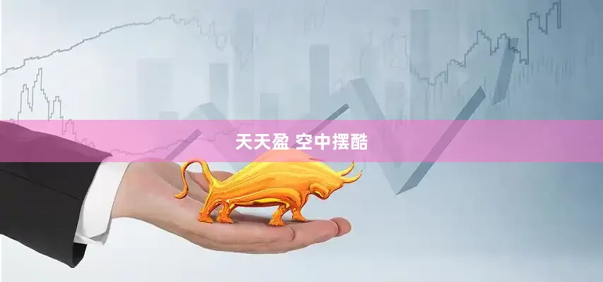 天天盈 空中摆酷