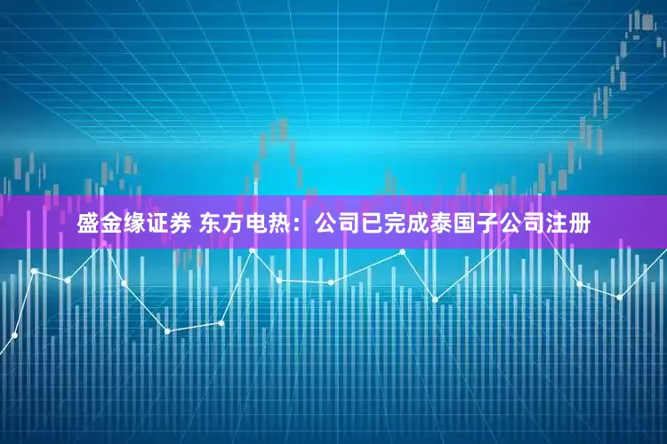 盛金缘证券 东方电热：公司已完成泰国子公司注册