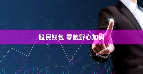 股民钱包 零跑野心加码